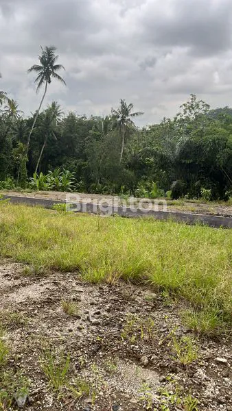 image DIJUAL TANAH KAPLING PREMIUM BLUMBUNGAN DARMASABA ABIANSEMAL BADUNG (6)