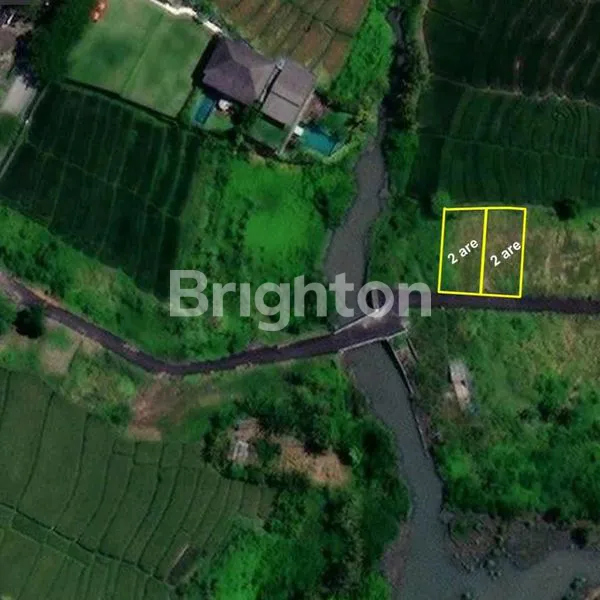 image LAHAN KECIL LANGKA DI KAWASAN PANTAI SESEH, TABANAN - BALI (3)