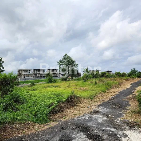 image LAHAN KECIL LANGKA DI KAWASAN PANTAI SESEH, TABANAN - BALI (2)