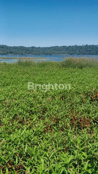 image DIJUAL TANAH SANGAT POTENSIAL – DANAU BUYAN, BALI 6,7HA (6)