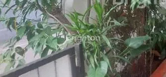 image TANAH BONUS RUMAH LAMA 1LT LAYAK HUNI DEKAT CITRA MALL COCOK KOS2AN TANJUNG DUREN (2)