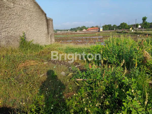 image TANAH KAVLING STRATEGIS DI BALI NDESO, SUKOHARJO (3)