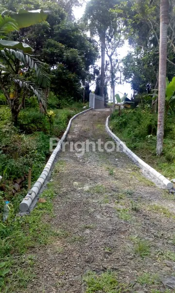 TANAH LUAS DI SUKABUMI – 84.635 M²