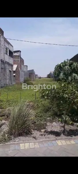 image TANAH SEDATI GEDE JUANDA TURUN HARGA  JUAL CEPAT NEGO  (1)