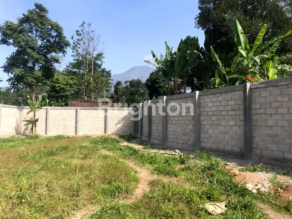 image TANAH LUAS 1.160M² DI TRAWAS COCOK UNTUK VILLA (7)