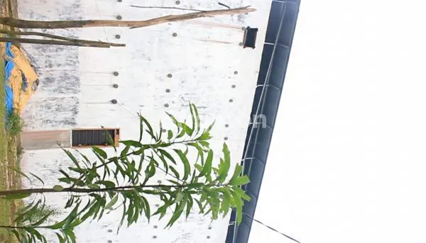 image DIJUAL TANAH FREE RUMAH, RUMAH WALET DAN KOLAM DI TENGGARONG (4)