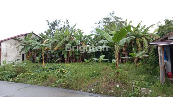 image TANAH KAVLING UKURAN 294 DI PALARAN (1)