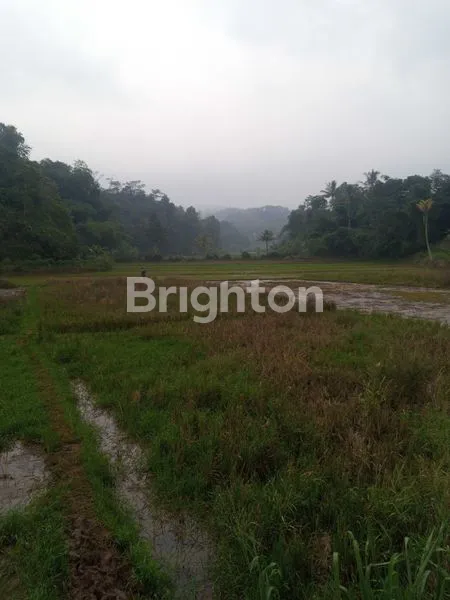 image TANAH LUAS 15.000M² SHM DI CIKALONG WETAN (5)