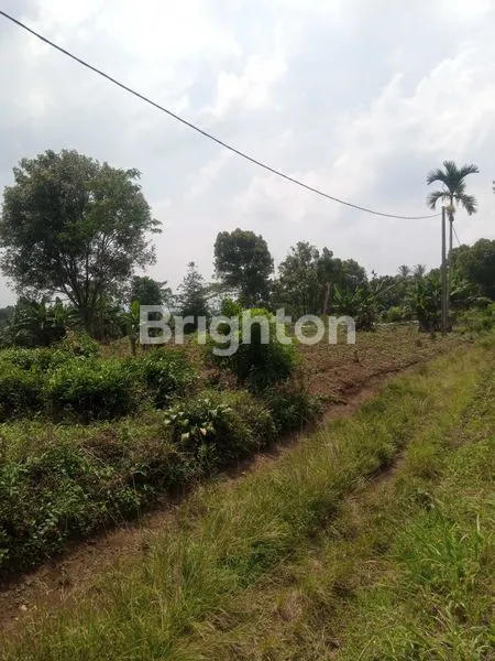 image LAHAN LUAS 12 HEKTAR, COCOK UNTUK INVESTASI JANGKA PANJANG (1)