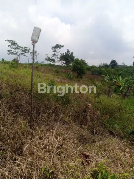 image LAHAN LUAS 12 HEKTAR, COCOK UNTUK INVESTASI JANGKA PANJANG (6)