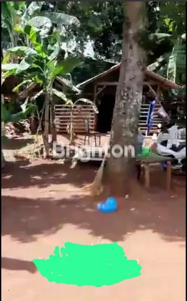 image TANAH LUAS 774 METER DEKAT TOL DESARI & CIJAGO KAMPUNG UTAN KRUKUT DEPOK (5)