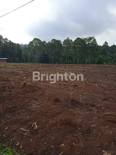 image KAVLING SIAP BANGUN DP RP 0,- DI BATU PUTU, KEMILING, BANDAR LAMPUNG  (5)