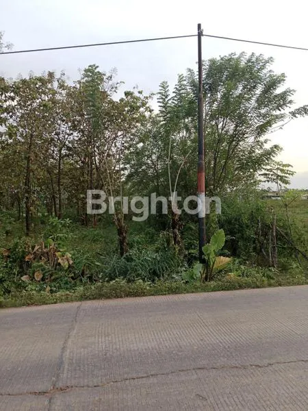 image TANAH PINGGIR JALAN SIAP PAKAI DI DESA PACCELEKAN,PATTALASAN, GOWA (1)