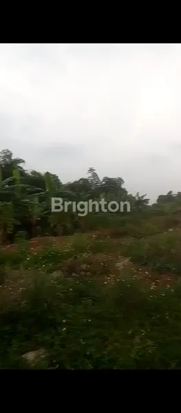 image TANAH STRATEGIS 9 HEKTAR DI PADALARANG (8)