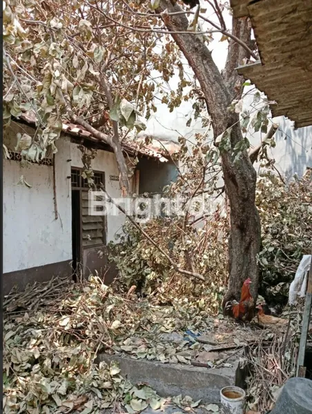 image CEMPAKA PUTIH BARAT XI CEMPAKA PUTIH, JAKARTA PUSAT  (6)