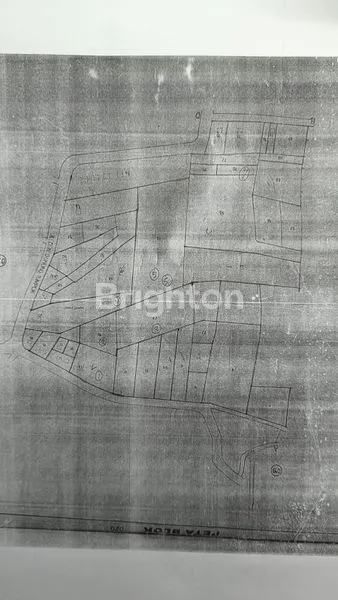 image TANAH LUAS 100 HEKTAR (3)