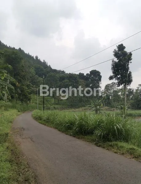 image TANAH LUAS 100 HEKTAR (1)