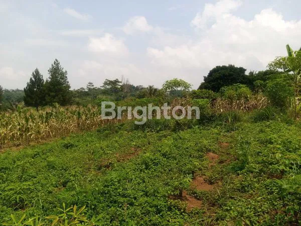 image TANAH LUAS TOTAL 44.265M² DI SAWIT, PURWAKARTA (2)