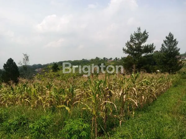 image TANAH LUAS TOTAL 44.265M² DI SAWIT, PURWAKARTA (1)