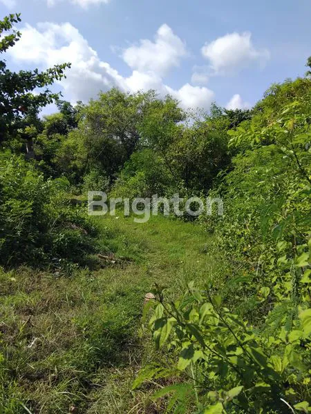 image TANAH PREMIUM 2,5 HA FULL VIEW NUSA PENIDA (7)
