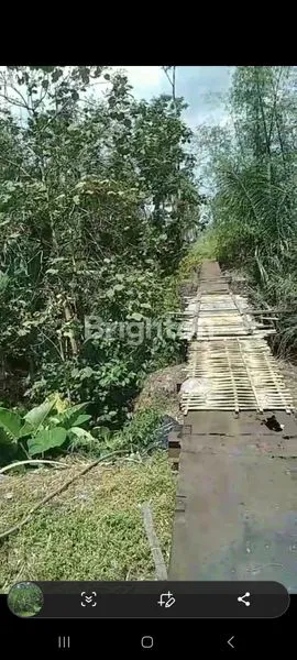 image JUAL TANAH DI KABUPATEN MALANG (2)