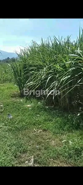 image JUAL TANAH DI KABUPATEN MALANG (1)