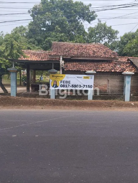 image TANAH LUAS DI KOPYAH, ANJATAN INDRAMAYU (8)