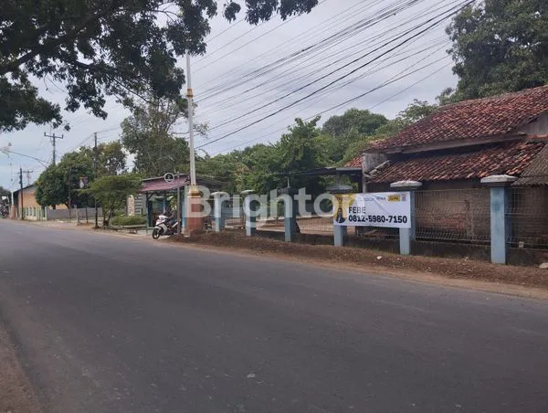 image TANAH LUAS DI KOPYAH, ANJATAN INDRAMAYU (3)