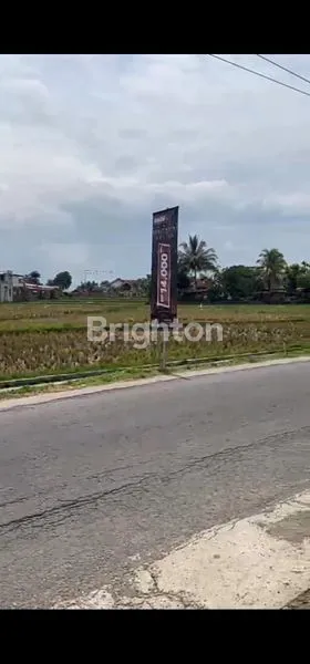 image TANAH SAWAH LUAS 6.300M² DI LIMBANGAN, GARUT (3)