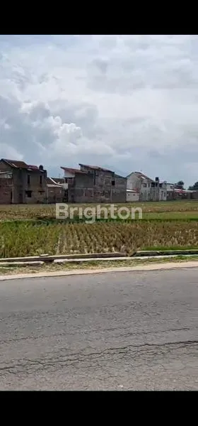 image TANAH SAWAH LUAS 6.300M² DI LIMBANGAN, GARUT (2)