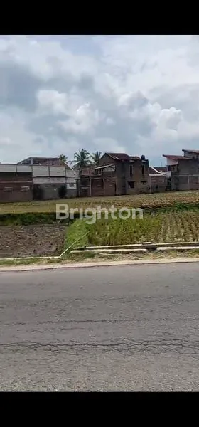 image TANAH SAWAH LUAS 6.300M² DI LIMBANGAN, GARUT (1)