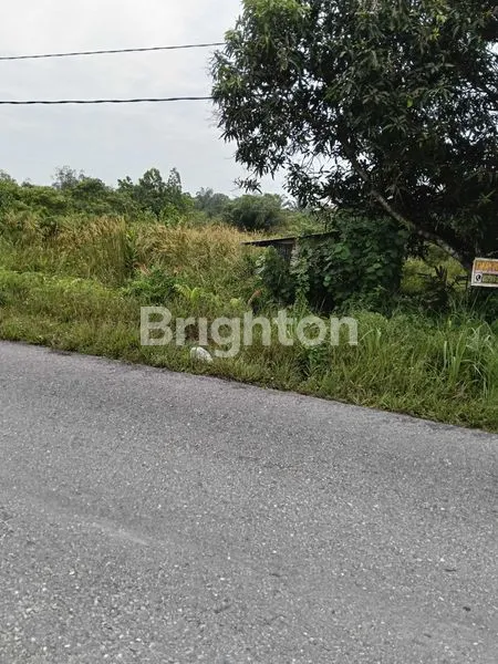 image TANAH DEKAT SMK 6 (3)