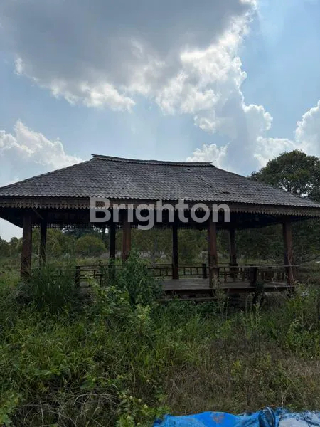 image KEBUN DURIAN 10 HEKTAR, SIAP HASILKAN (1)