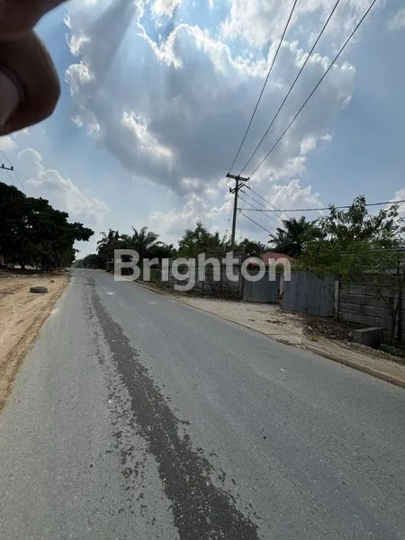 image KEBUN DURIAN 10 HEKTAR, SIAP HASILKAN (8)