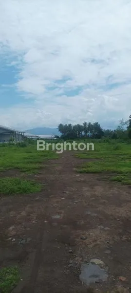 image TANAH LUAS 16.540 M2 , STRATEGIS, DEKAT PELABUHAN KETAPANG, NOL JALAN PROVINSI SBY - BYW (2)