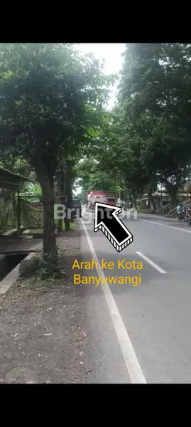 image TANAH LUAS 16.540 M2 , STRATEGIS, DEKAT PELABUHAN KETAPANG, NOL JALAN PROVINSI SBY - BYW (3)