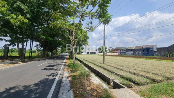 image DIJUAL LAHAN SHM 7.784M², HARGA NEGO, LOKASI NYAMAN MADIUN (1)