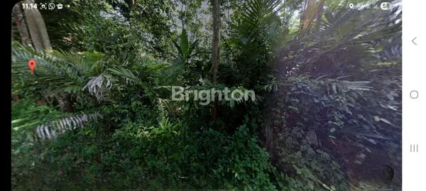 image TANAH KEBUN HANYA 150 METER DARI JALAN RAYA KALIGETAS MIJEN (1)