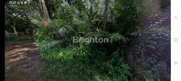 image TANAH KEBUN HANYA 150 METER DARI JALAN RAYA KALIGETAS MIJEN (2)