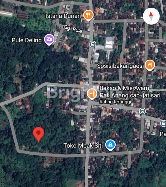 image TANAH KEBUN HANYA 150 METER DARI JALAN RAYA KALIGETAS MIJEN (3)