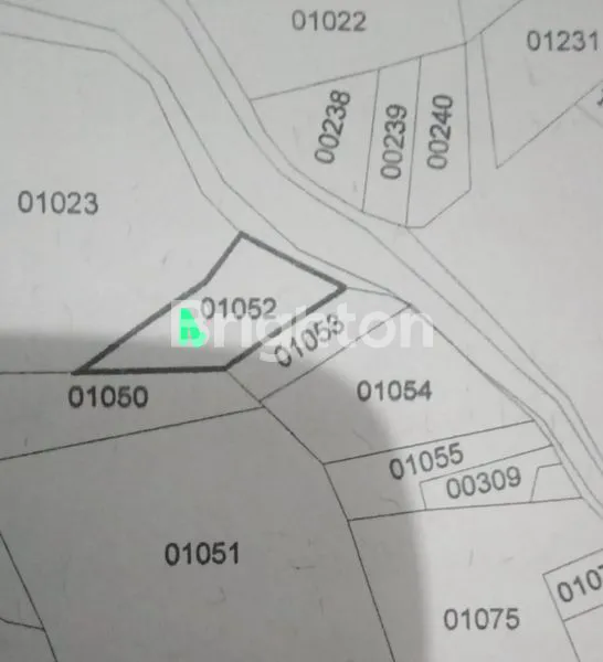 image TANAH LUAS 1172M² SHM, KEBUN JERUK & ALPUKAT DI SINGOSARI (3)