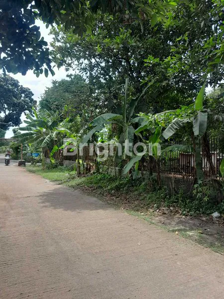 image TANAH LUAS 1.350M² DI TAJUR HALANG, COCOK HUNI & USAHA (3)