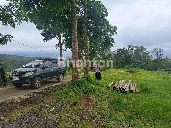 image TANAH KAVLING PREMIUM PENEBEL TABANAN 1000M² (2)