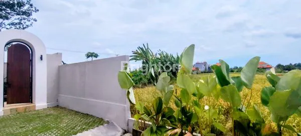 image COZY 2BR BY THE RICEFIELD FOR RENT AT MENGWI (8)