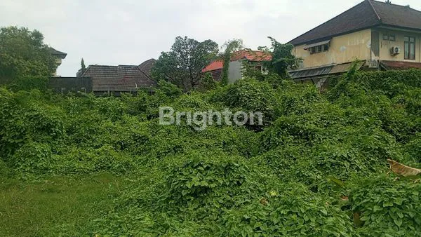 image TANAH LUAS 2500M² DI RENON (4)