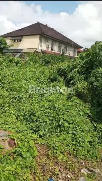 image TANAH LUAS 2500M² DI RENON (5)