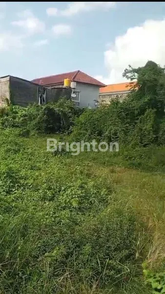 image TANAH LUAS 2500M² DI RENON (6)