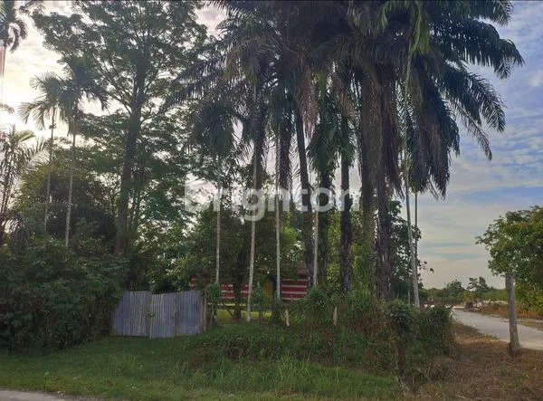 image DIJUAL TANAH STRATEGIS PINGGIR JALAN ASPAL – SHM, (1)