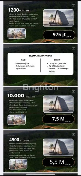 image WISDOM LAND KEBUN DURIAN MUSANGKING INVESTASI TERBAIK DI TABANAN (3)