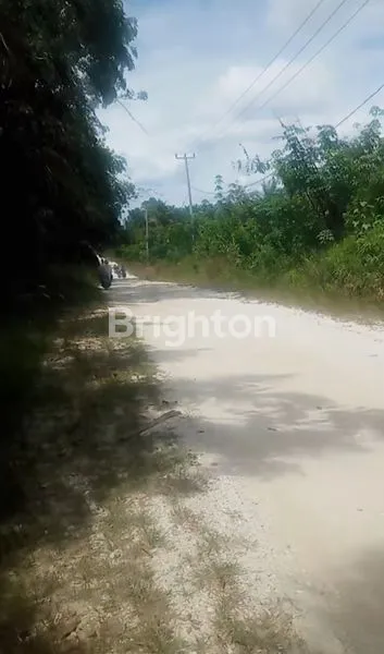 image DIJUAL TANAH 2 HEKTAR SHM DI JALAN SEROJA, TENAYAN RAYA – HARGA 150 RIBU/M² (3)